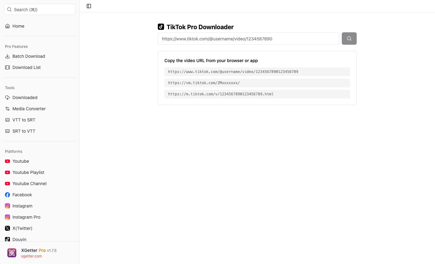 TikTok Video Downloader